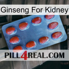 Ginseng For Kidney 06